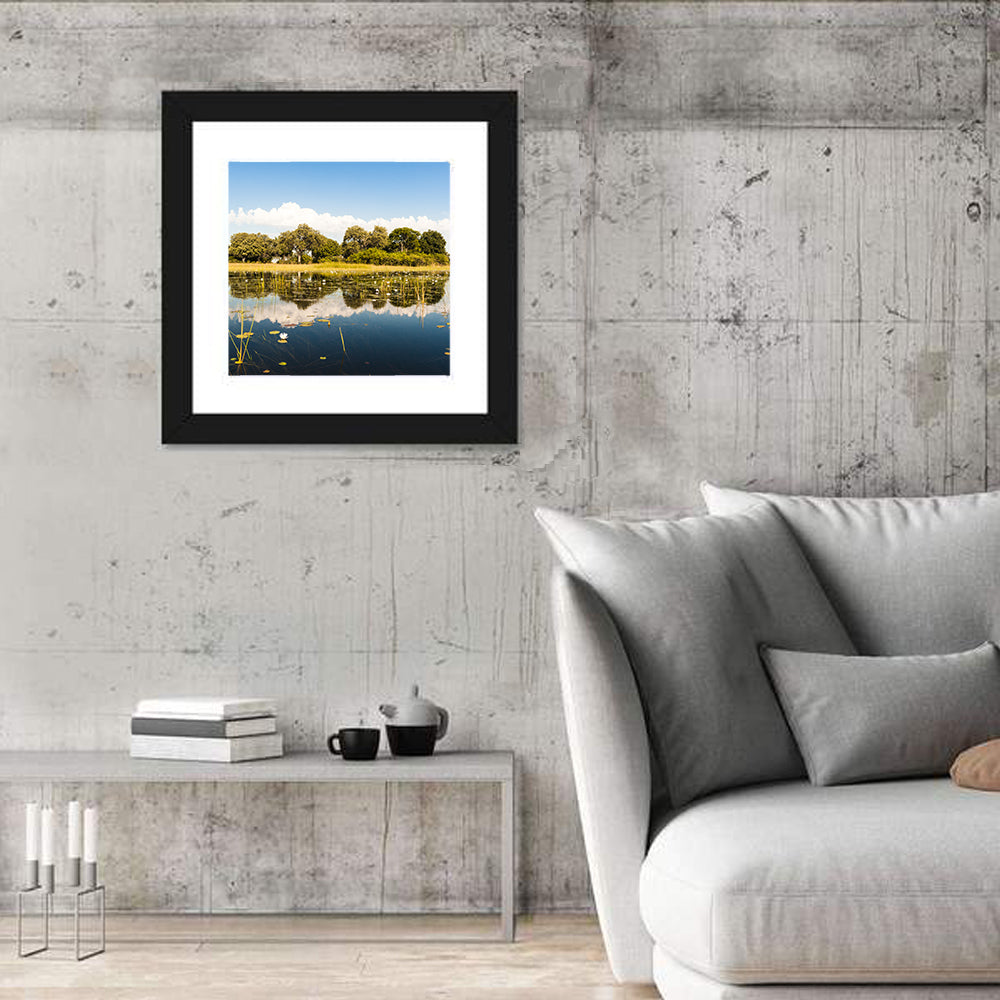 Okavango Delta Waterlilies Wall Art