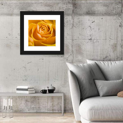 Yellow Rose Close-up Wall Art