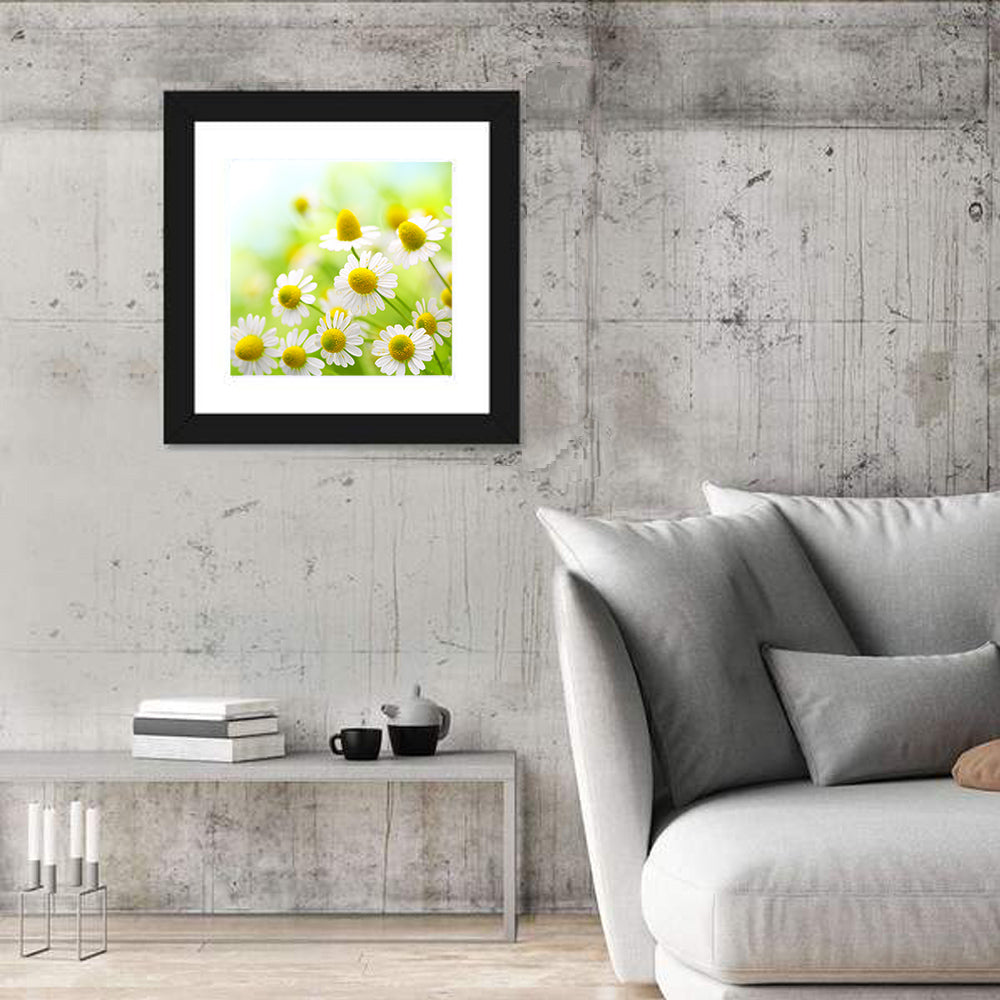 Chamomile Close-up Wall Art