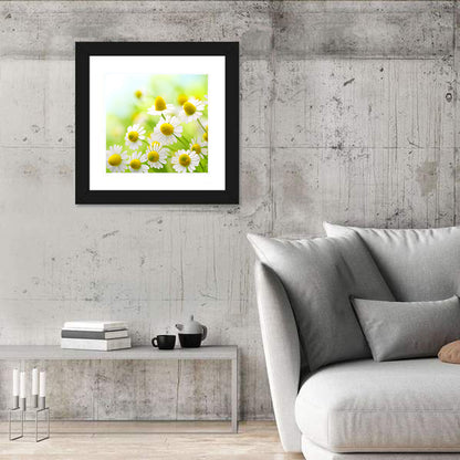 Chamomile Close-up Wall Art