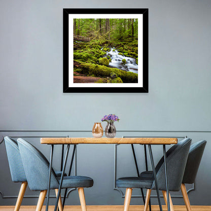 Mossy Cascade Forest Stream Wall Art