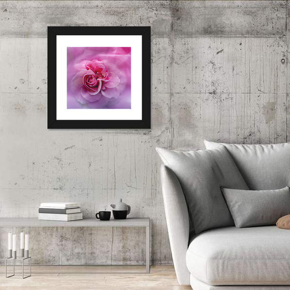 Ethereal Pink Rose Bloom Wall Art