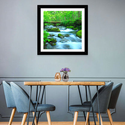 Mossy Forest Stream Wall Art