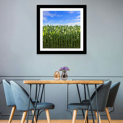 Green Corn Field Wall Art