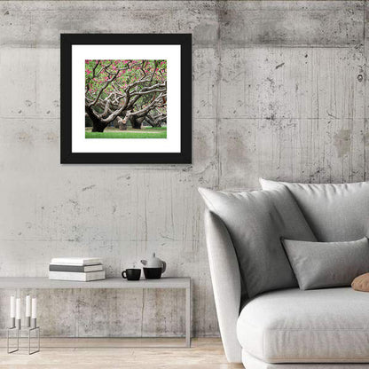 Peach Orchard in Bloom Wall Art