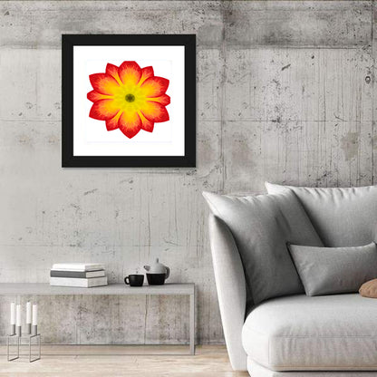 Primrose Radial Mandala Wall Art