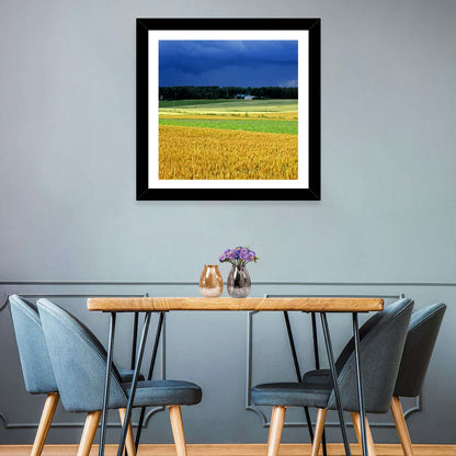 Cornfields Under Stormy Sky Wall Art