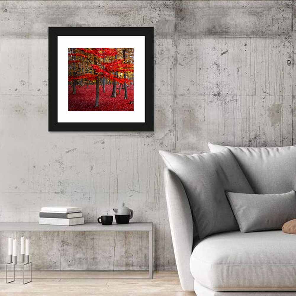 Crimson Autumn Forest Wall Art