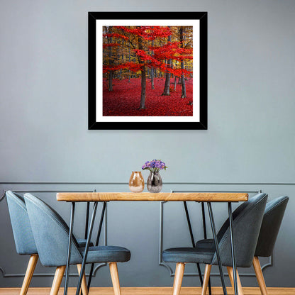 Crimson Autumn Forest Wall Art