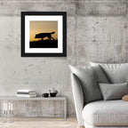 Wolf at Golden Horizon Wall Art
