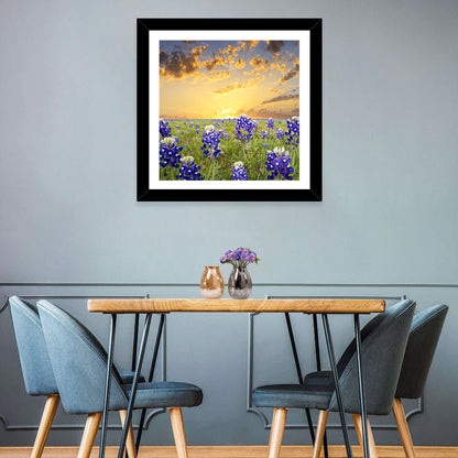 Bluebonnet Field at Sunset Wall Art