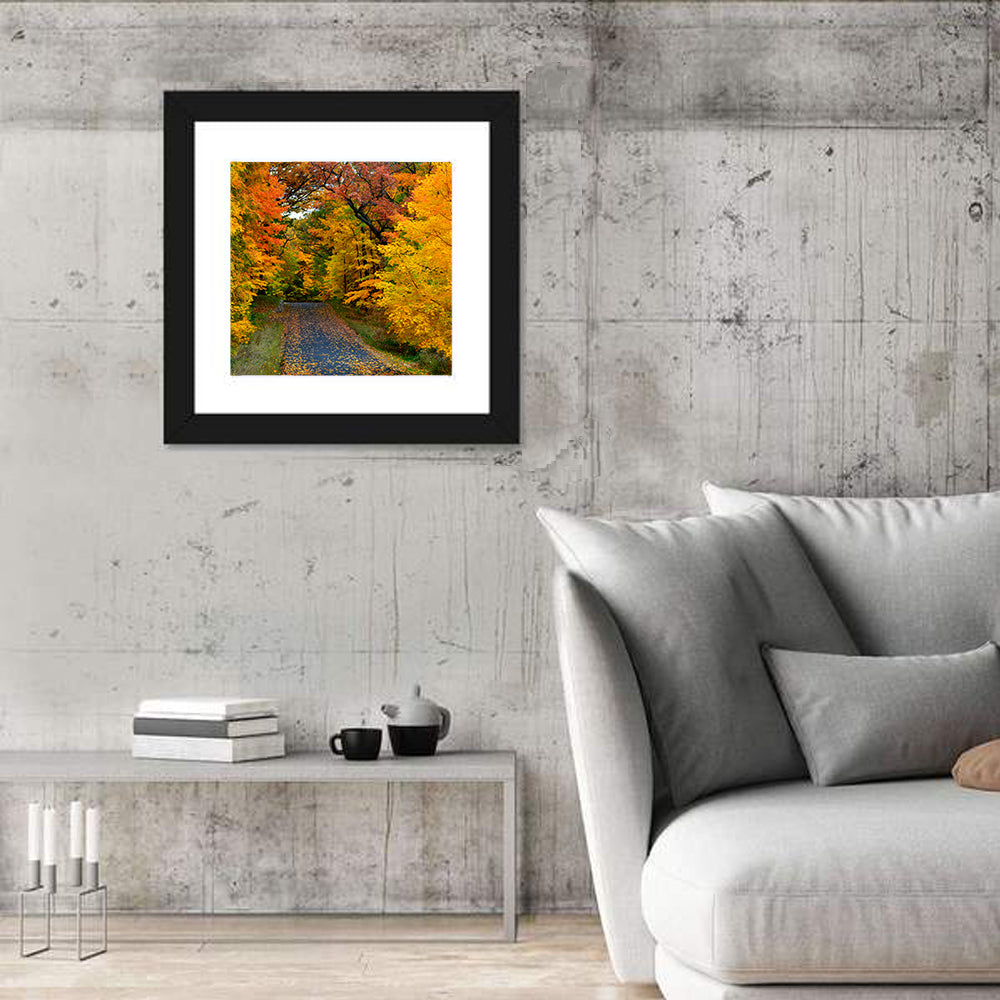 Autumn Road Through Wisconsin Park Wall Art