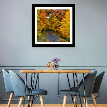 Autumn Road Through Wisconsin Park Wall Art