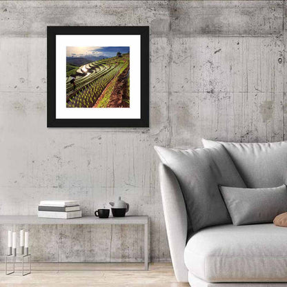 Chiang Mai Rice Terraces at Sunset Wall Art