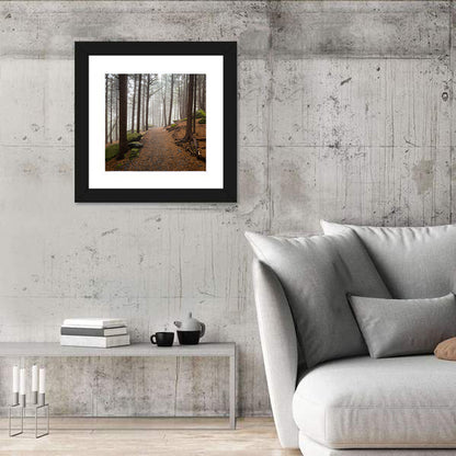 Misty Appalachian Trail Path Wall Art