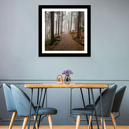 Misty Appalachian Trail Path Wall Art