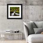 Mossy Forest Stream Wall Art