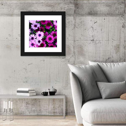 Pink and Purple Daisies Wall Art