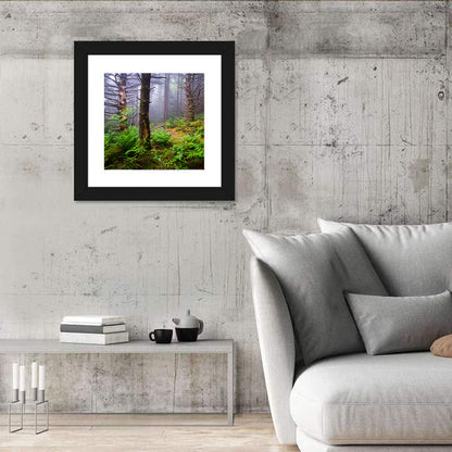 Misty Spruce-fir Trail Wall Art