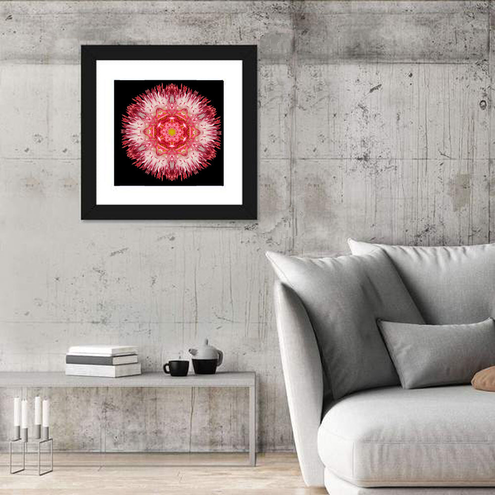 Magenta Chrysanthemum Star Mandala Wall Art in a room, square