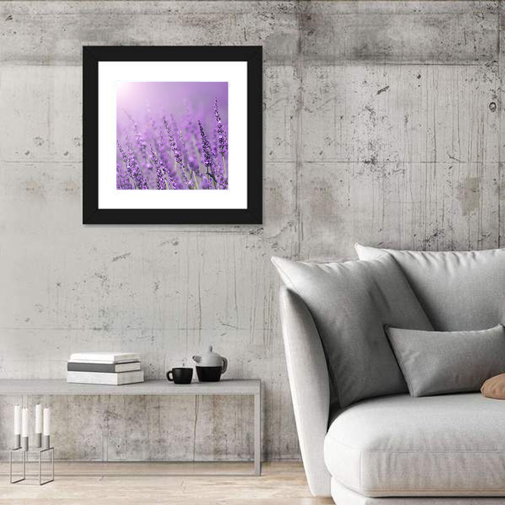 Sunlit Lavender Field Wall Art