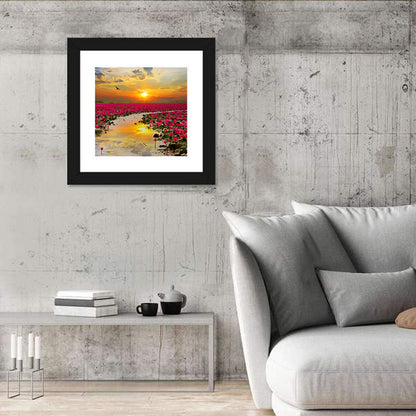 Golden Hour Lotus Field Wall Art