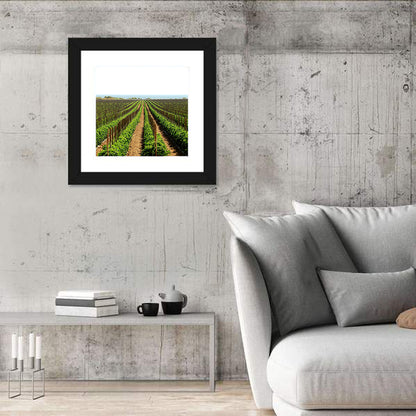Tomato Fields Wall Art