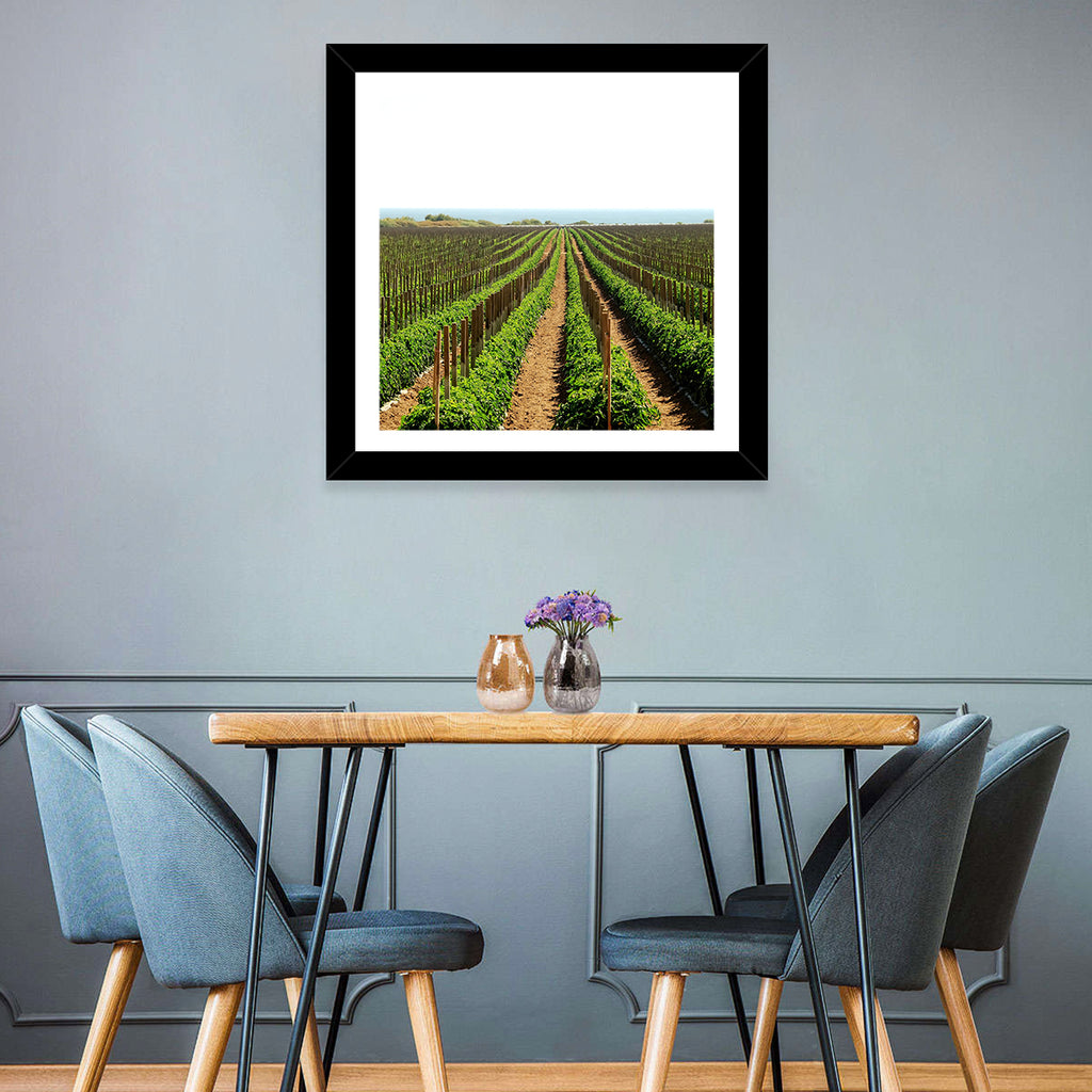 Tomato Fields Wall Art