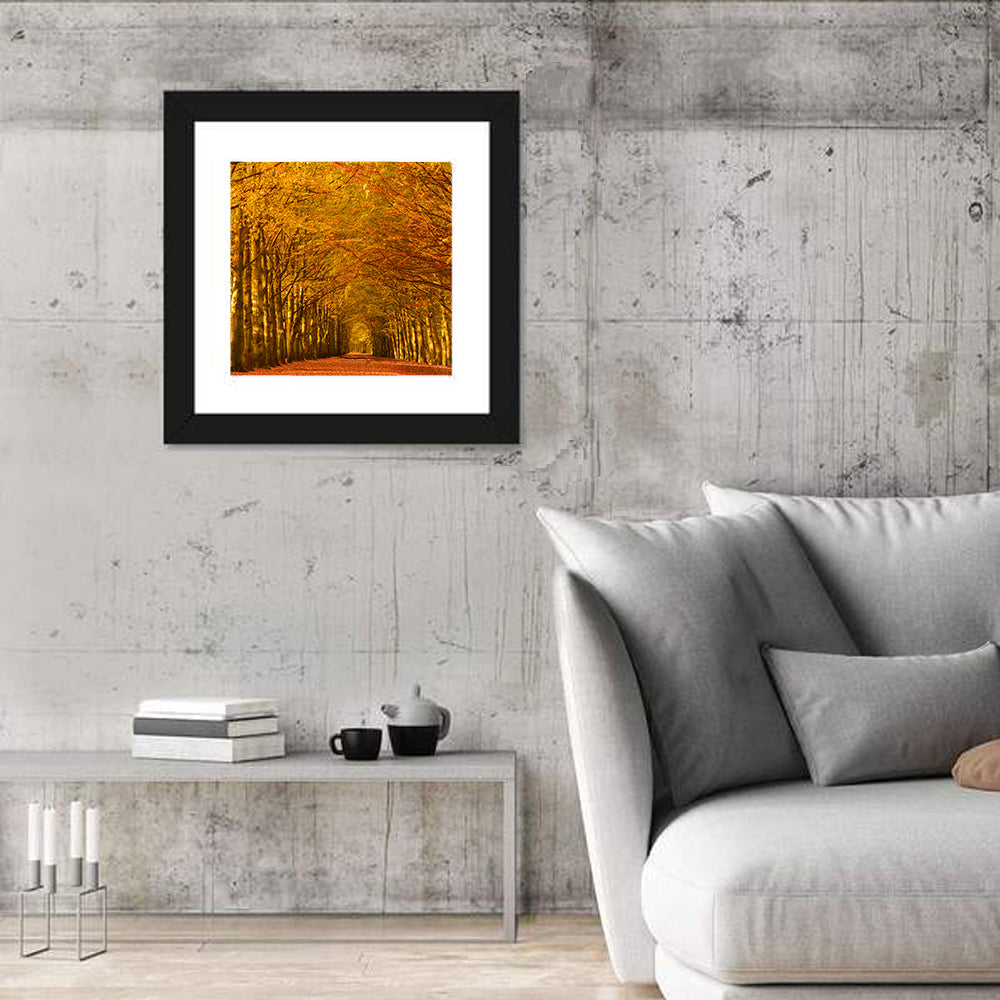 Golden Beech Tree Tunnel in Autumn Wall Art
