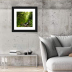 Annapurna Jungle Stream Wall Art
