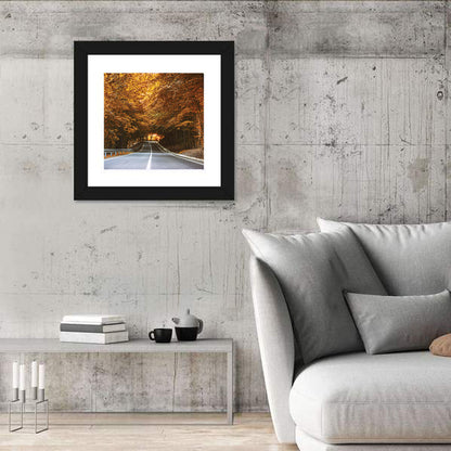 Autumn Forest Road with Canopy Wall Art