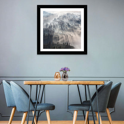 Misty Forest Sunrise Wall Art