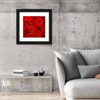 Red Roses Close Up Wall Art