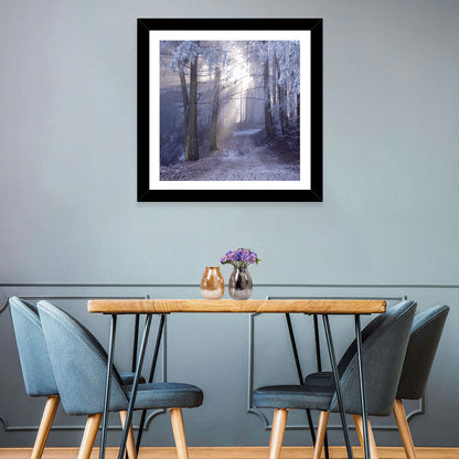 Frosted Forest Path at Dawn Wall Art