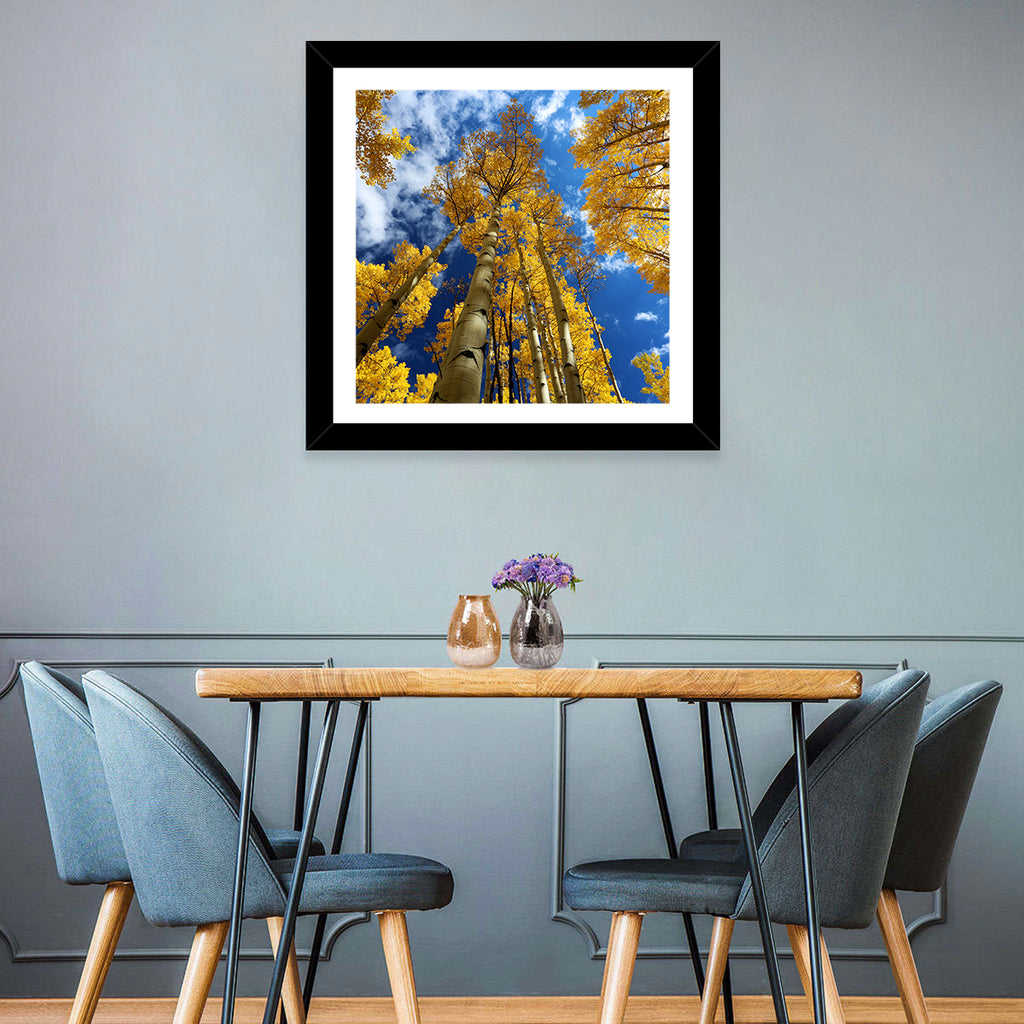 Golden Aspen Canopy View Wall Art