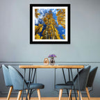 Golden Aspen Canopy View Wall Art