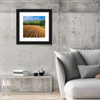 Kansas Wheat Fields Wall Art