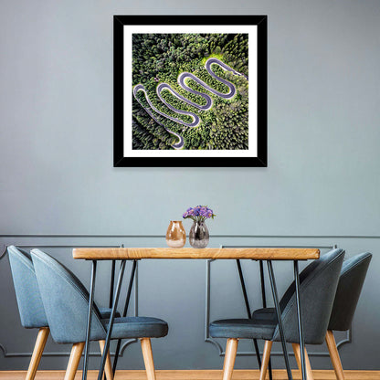 Serpentine Mountain Road Wall Art