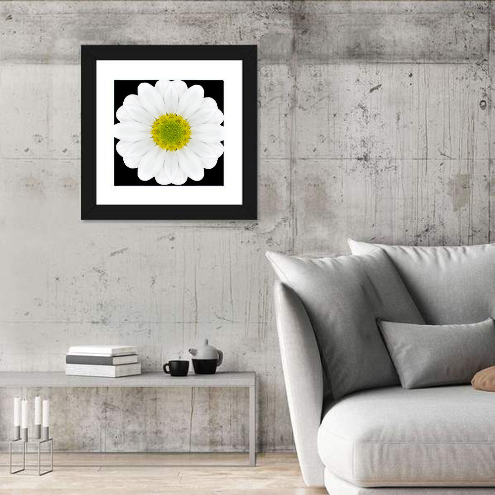 High Contrast Daisy Mandala Pattern Wall Art