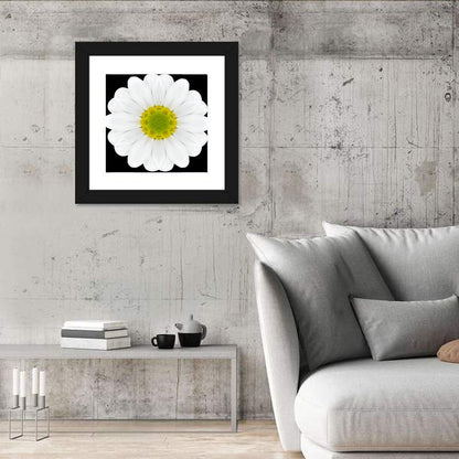 High Contrast Daisy Mandala Pattern Wall Art