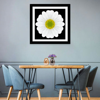 High Contrast Daisy Mandala Pattern Wall Art