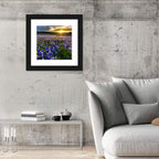 Texas Bluebonnet Field at Sunset Wall Art