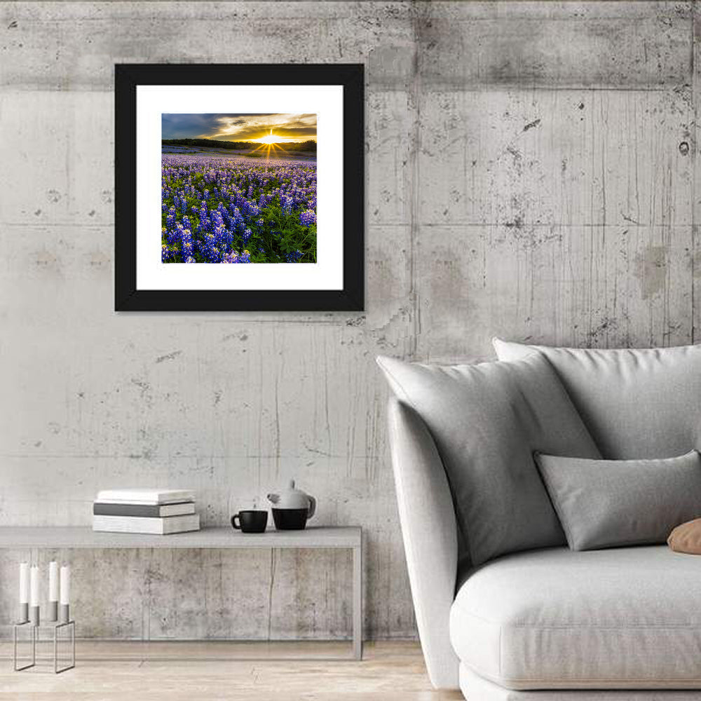 Bluebonnet Field Texas Wall Art