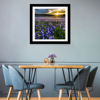 Texas Bluebonnet Field at Sunset Wall Art