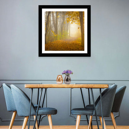 Cuyahoga Valley Autumn Path Wall Art
