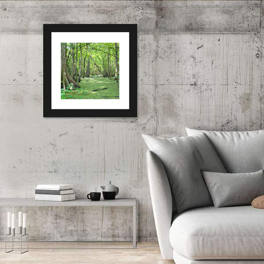 Summer Cypress Bayou, Louisiana Wall Art