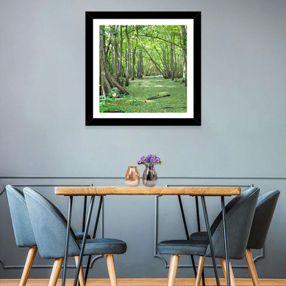 Summer Cypress Bayou, Louisiana Wall Art
