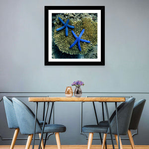 Blue Starfish Wall Art