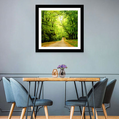 Sunlit Forest Pathway Wall Art