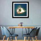 Lake Lanier Island Aerial View Wall Art